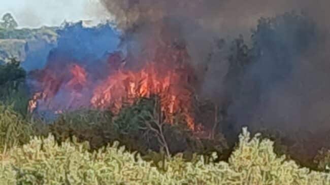 Catania, incendio distrugge campagne vicino a Sigonella: Forestale sul posto
