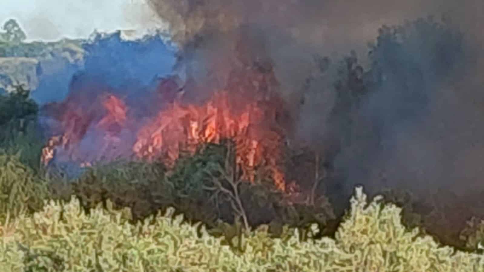 Catania, incendio distrugge campagne vicino a Sigonella: Forestale sul posto