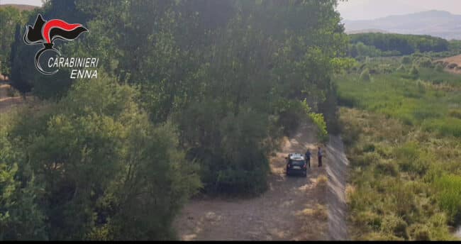 Sicilia in fiamme, numerosi arresti di piromani