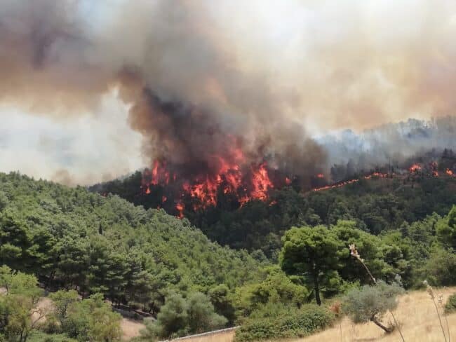 Emergenza incendi nel Ragusano, ancora in corso operazioni di spegnimento: chiesto lo stato di calamità
