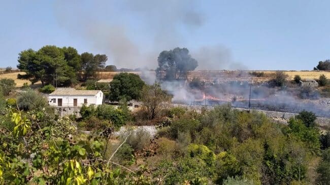 Fiamme alte e fumo nero a ridosso del parco archeologico, bruciano le sterpaglie – VIDEO