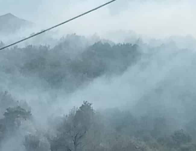 Catania e provincia ancora in fiamme, brucia il Parco dell’Etna: Forestale e vigili del fuoco sul posto