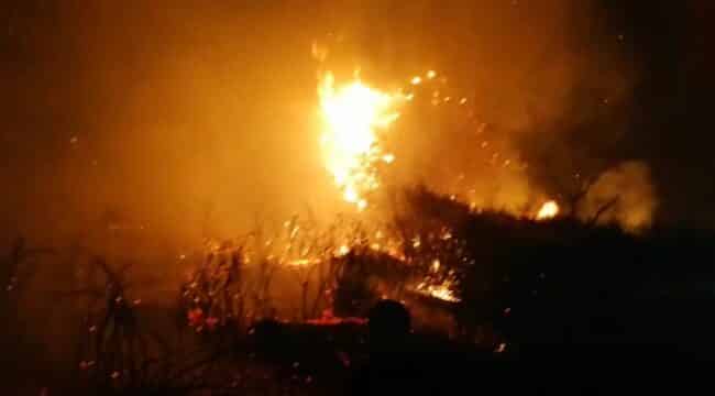Ancora fiamme nel Catanese, brucia la pineta ai piedi dell’Etna: turisti in fuga – VIDEO