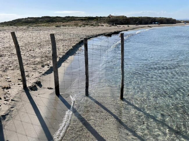 Noto, ancora polemiche di Selvaggia Lucarelli: “C’era il divieto di balneazione dove ho fatto il bagno”, il sindaco risponde