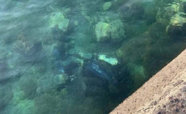 Inciviltà a Catania, “pescato” motorino nelle acque del porticciolo di San Giovanni Li Cuti