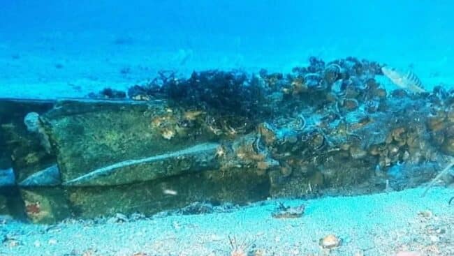Individuato antico rostro in mare a Levanzo, l’incredibile scoperta porta alla luce un relitto antichissimo
