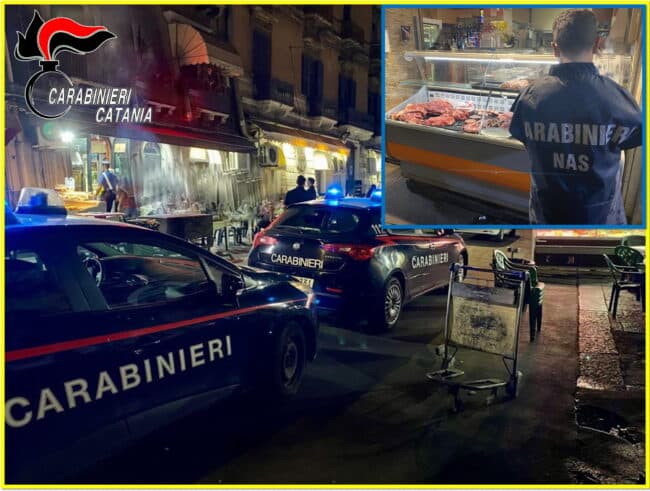 Catania, blitz in via Plebiscito: carne di cavallo senza tracciabilità, sanzioni e sequestri per i locali dello “street food”