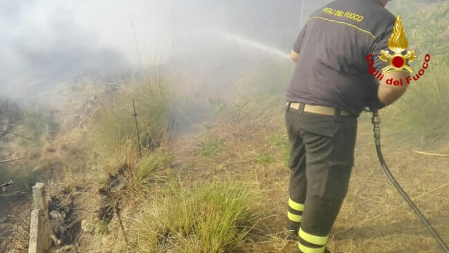 Incendi in Sicilia, alte lingue di fuoco divorano la provincia di Palermo – Le FOTO degli interventi