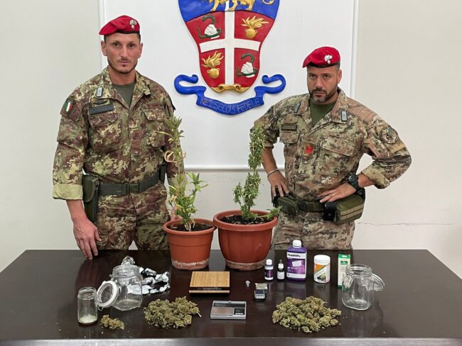 Motta Sant’Anastasia, produttore di cannabis si aggiornava tramite riviste specializzate
