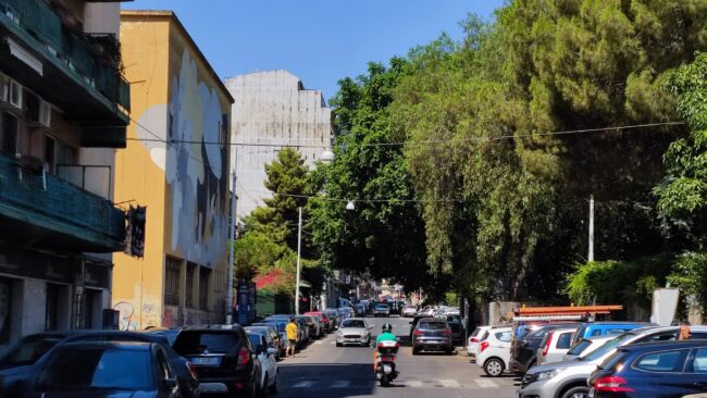 Catania, potatura alberi via Sassari nel III municipio. Presidente Ferrara: “Operare adesso prima dell’inizio dell’anno scolastico”