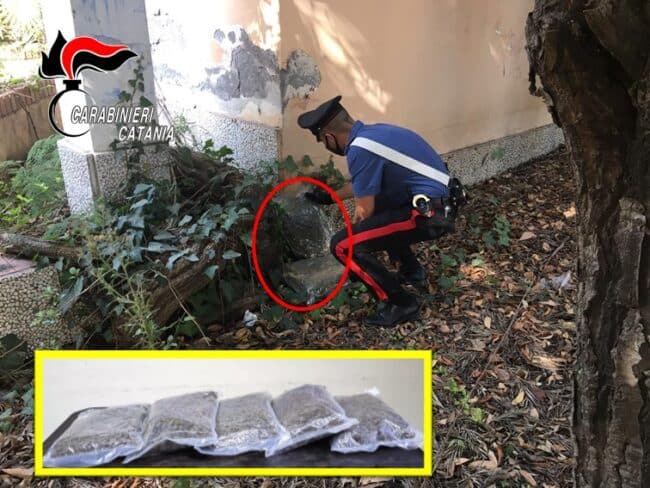 Marijuana nascosta in un parco del Catanese: scoperto deposito di 5 chilogrammi di droga