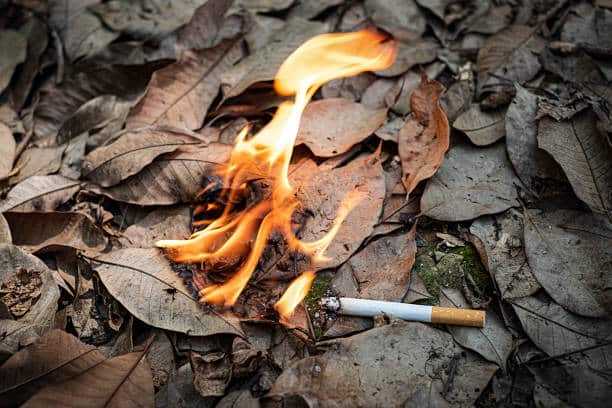 Incendi, tra le possibili cause colpose sigarette o vetro: come tutelare l’ambiente e chi ci circonda