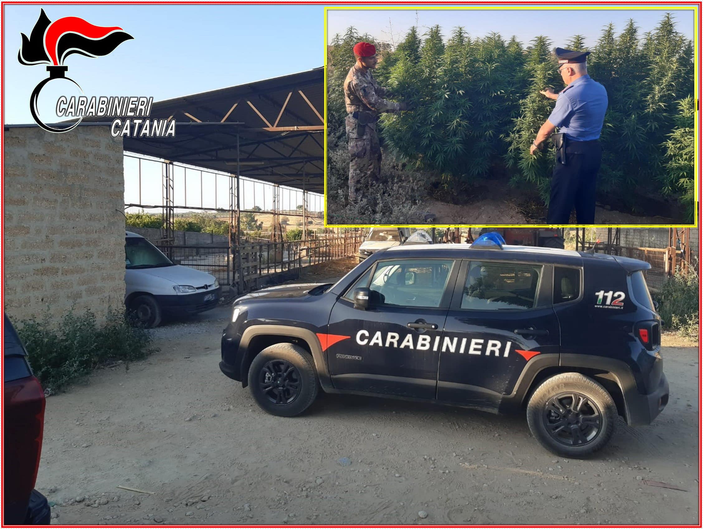 Detenzione e spaccio di droga nel Catanese, azienda zootecnica “convertita”: un arresto e una denuncia