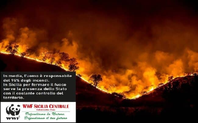 Emergenza incendi in Sicilia, WWF chiede al Prefetto l’intervento delle Forze Armate