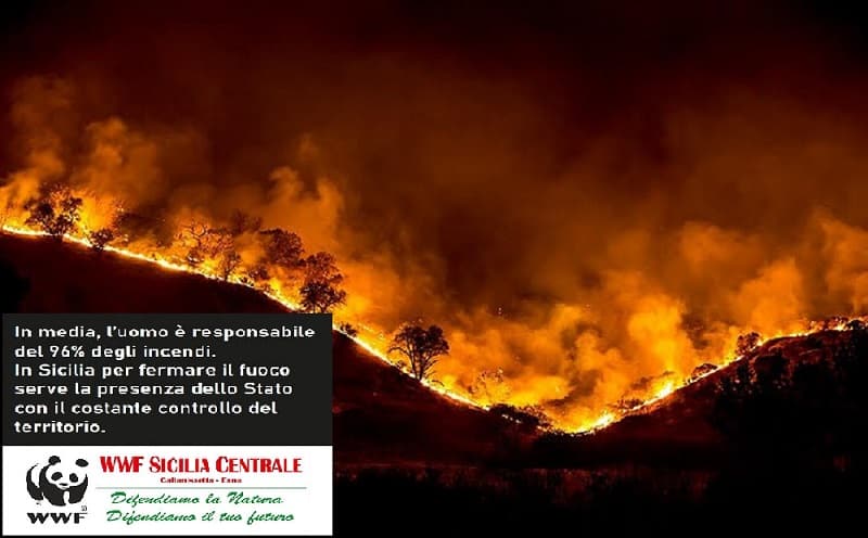 Emergenza incendi in Sicilia, WWF chiede al Prefetto l’intervento delle Forze Armate