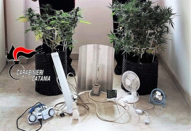 Acireale, marijuana fai da te: arrestato un incensurato con la passione per il “pollice verde”