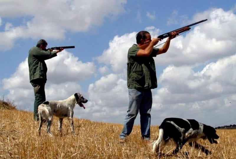 Sicilia, Tar sospende la caccia ma manca la bozza ufficiale. “Sparano da ore, zero controlli”