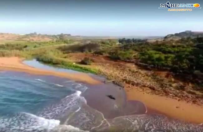 Fiume Modione continua a “vomitare” in mare acque scarsamente depurate: la denuncia di MareAmico – FOTO