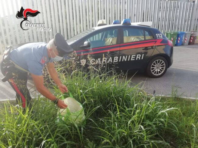 Marijuana e sei panetti di hashish nel giardino di casa, arrestato 44enne