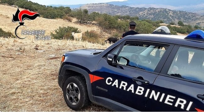 Follia nel Catanese, va in un fondo e bastona il legittimo proprietario: “Qui è tutto mio, vattene”