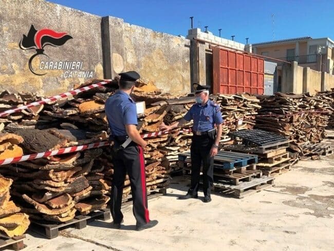 Riserva naturale di Santo Pietro “spogliata” del sughereto: 8 i denunciati nel Catanese