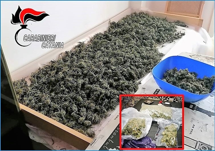Blitz antidroga: trovati 9 kg di marijuana, arrestato 48enne del Catanese