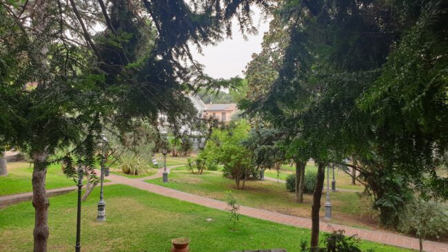 Reddito di Cittadinanza, a Viagrande percettori verranno impiegati in attività collettive