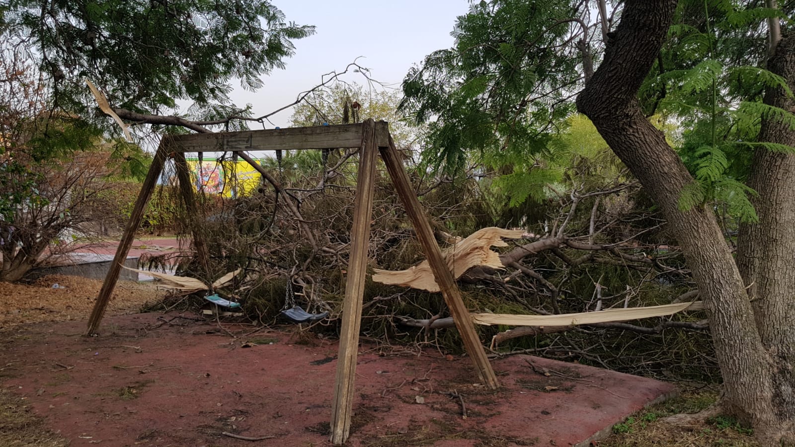 Pericolo al parco Gandhi, grosso ramo spezzato accanto all’altalena. Zingale: “Serve intervento urgente”