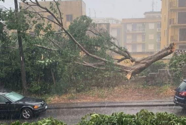Maltempo a Catania, ci sono i primi danni: alberi caduti e strade impraticabili