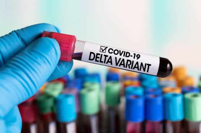 variante delta coronavirus covid