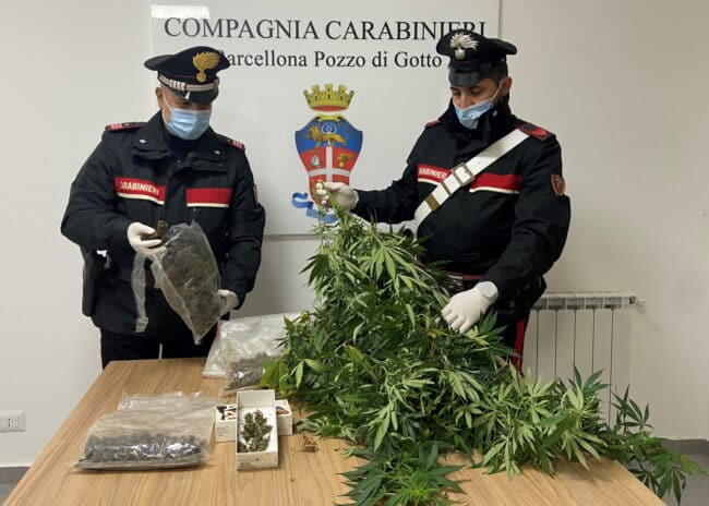 Barcellona Pozzo di Gotto, unità cinofila scopre oltre 500 grammi di droga in giardino