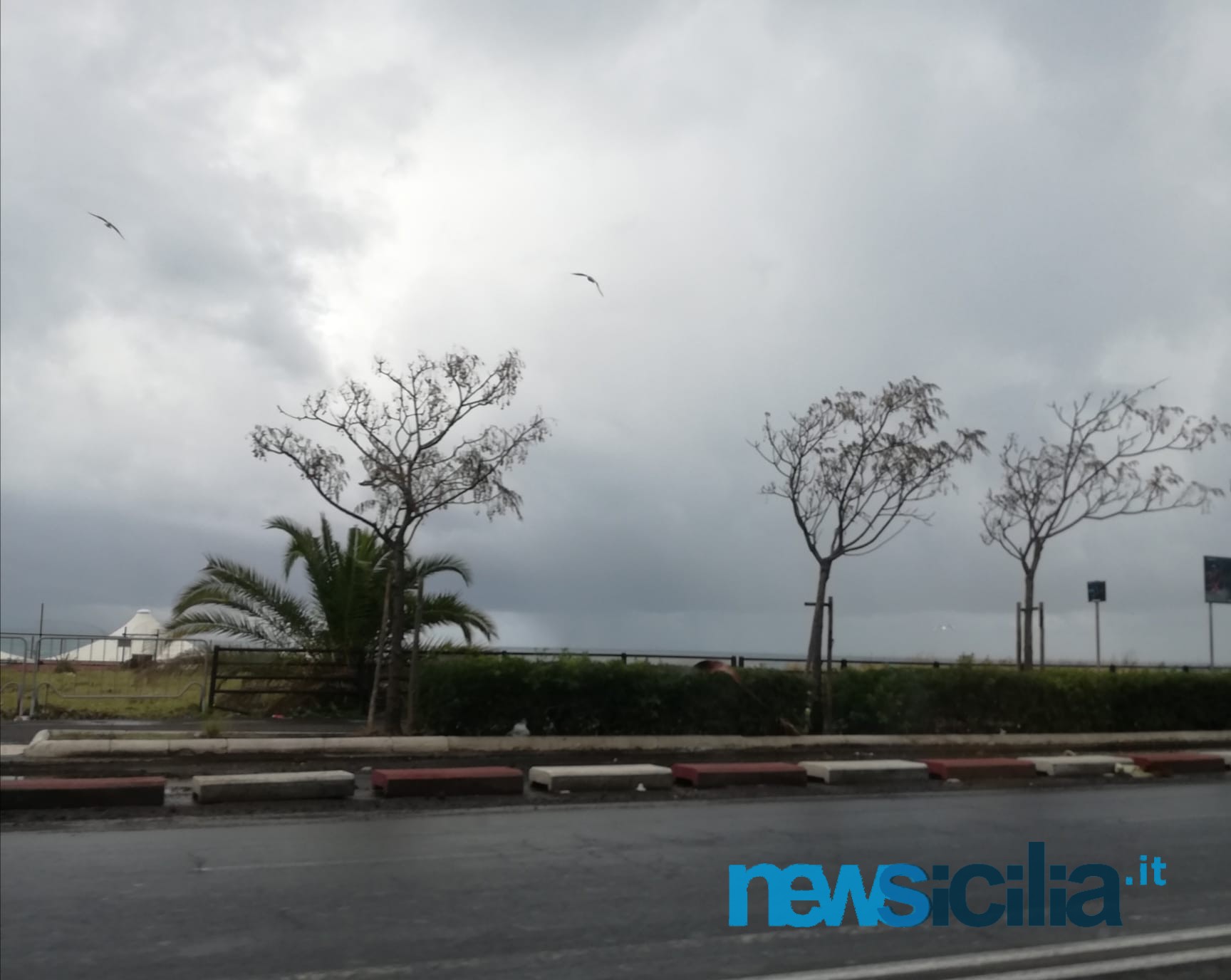 Catania graziata da Apollo, Siracusa conta i danni: l’eredità del ciclone è la lotta ai cambiamenti climatici