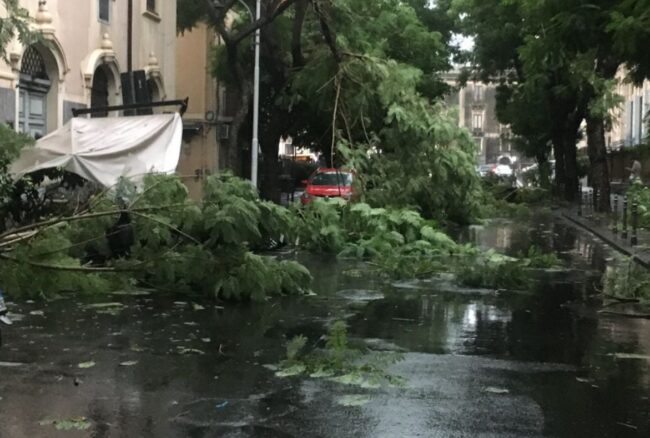 Maltempo a Catania, firmata l’ordinanza per scuole, cimitero e parchi chiusi: “Evento imprevedibile”