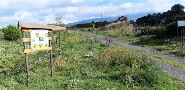 Bronte, da antica discarica a polmone verde: il nuovo “destino” della zona di Brignolo