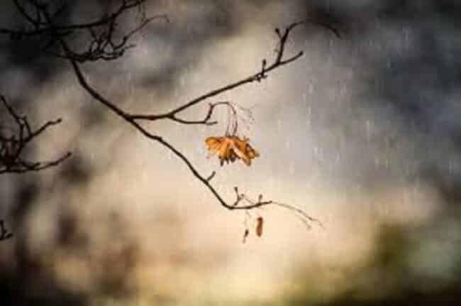 Previsioni meteo, DOMANI 27 OTTOBRE