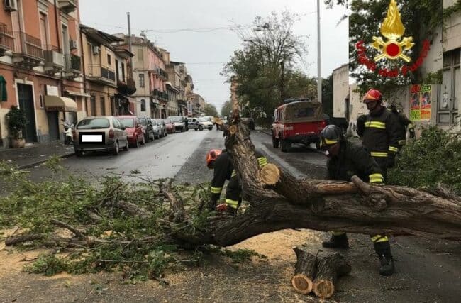 Maltempo Sicilia, aziende isolate e campi allagati. Coldiretti: “Danni in Italia superano il miliardo di euro”