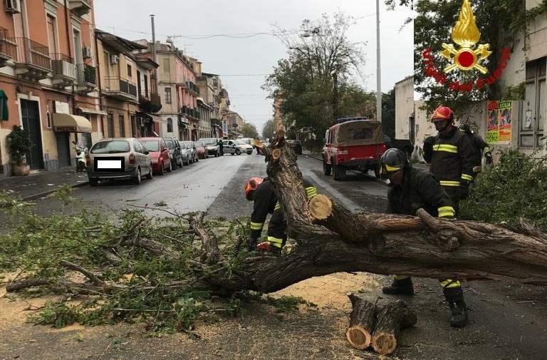 Maltempo flagella Catania, alberi e pali caduti e oltre 50 interventi dei vigili del fuoco: mobilitate tutte le squadre disponibili