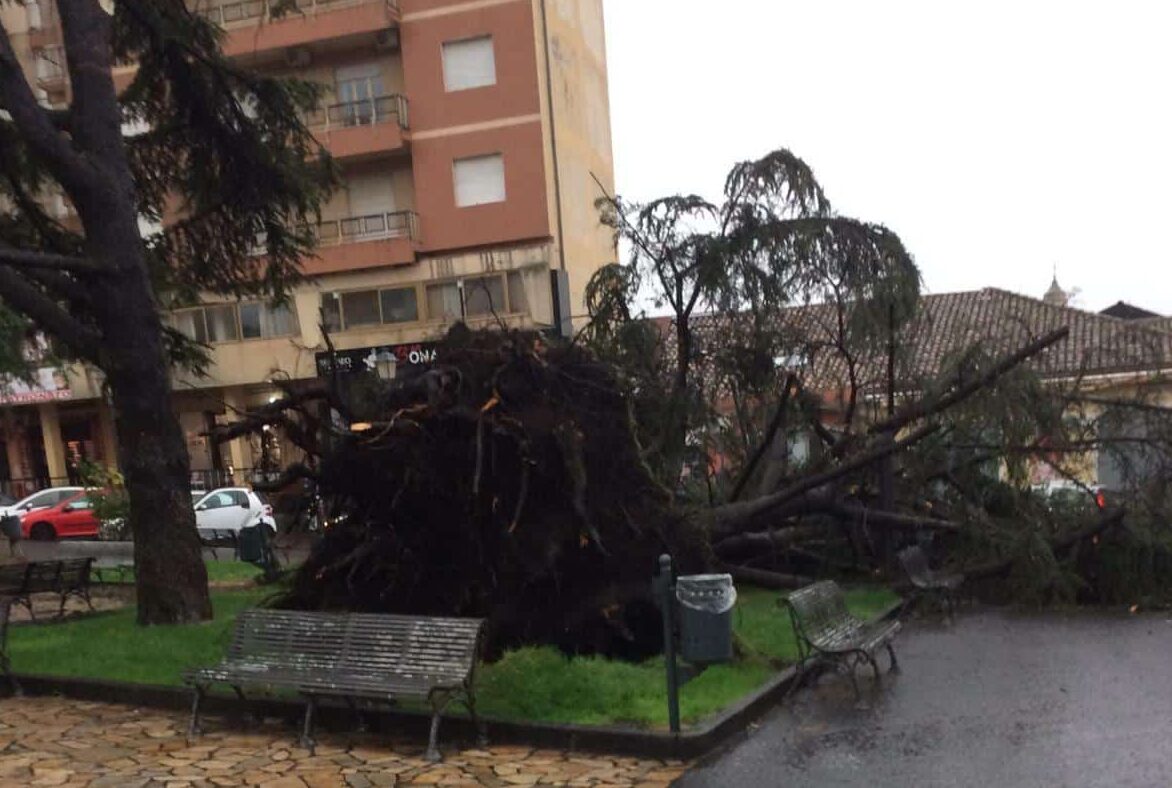 Catania, la conta dei danni post maltempo: 6 volontari della Misericordia finiscono al Cannizzaro
