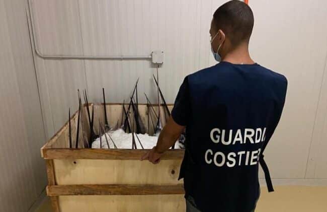 Sequestrati oltre 100 chili di novellame