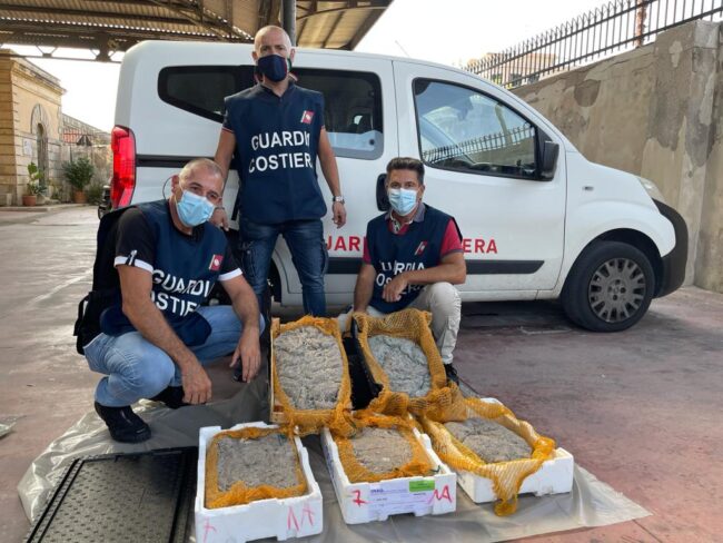 Operazione “UnderSize”, controlli a tappeto in mercati e ristoranti: sanzioni e sequestri di pescato