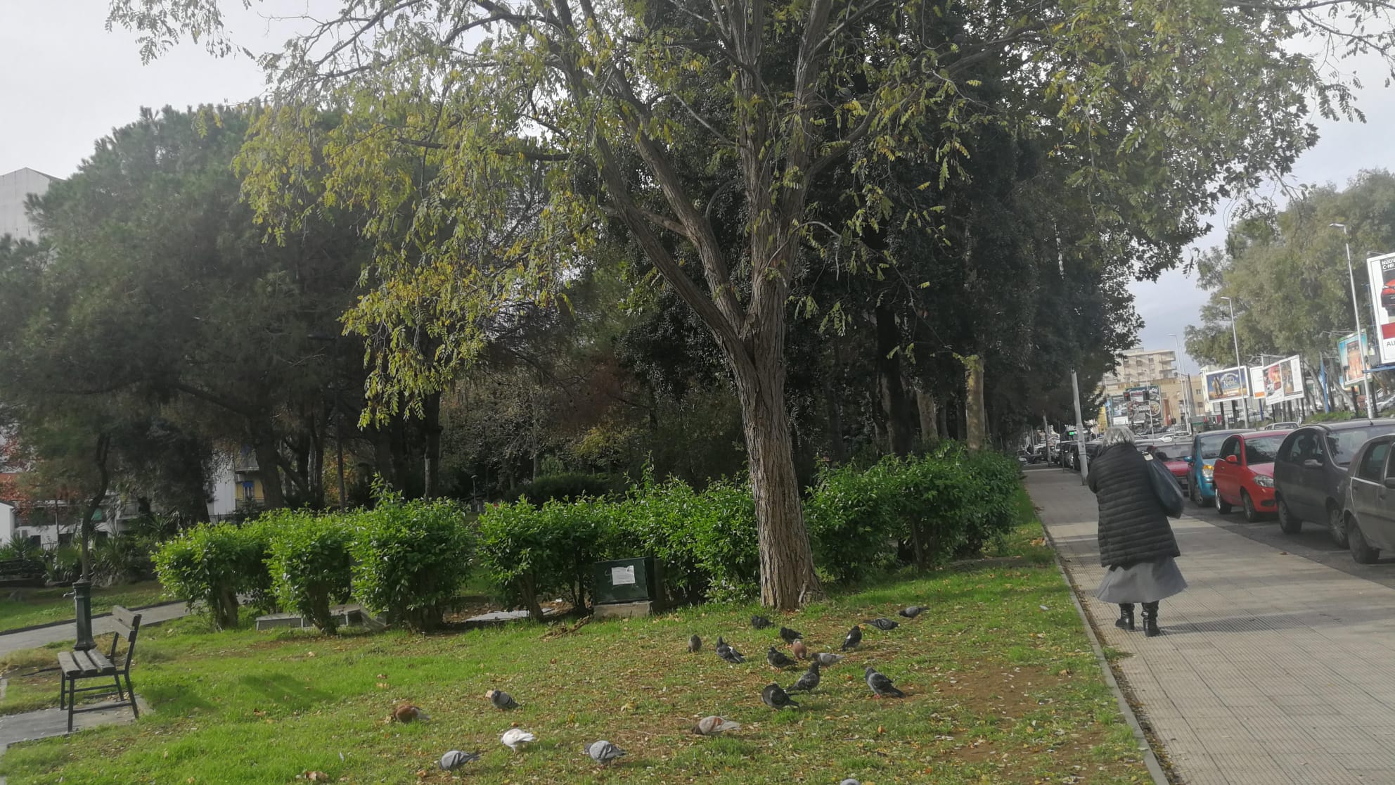 Nuove aree attrezzate nei parchi di Borgo-Sanzio, il plauso di Ferrara: “Ora serve proteggere spazi verdi”