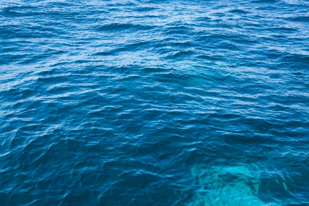 “Blue day”: a Catania gli Stati generali della Pesca e dell’acquacoltura per la sostenibilità ambientale