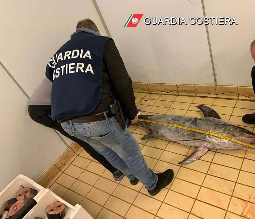 Guardia Costiera in azione, sequestrato pesce spada senza documentazione: proveniva da attività non consentite