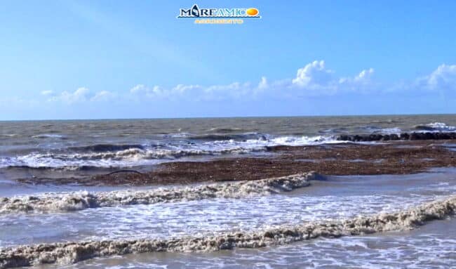 Maltempo Agrigento, piogge trasportano in mare rifiuti. Mareamico: “Necessaria attività ambientalista”
