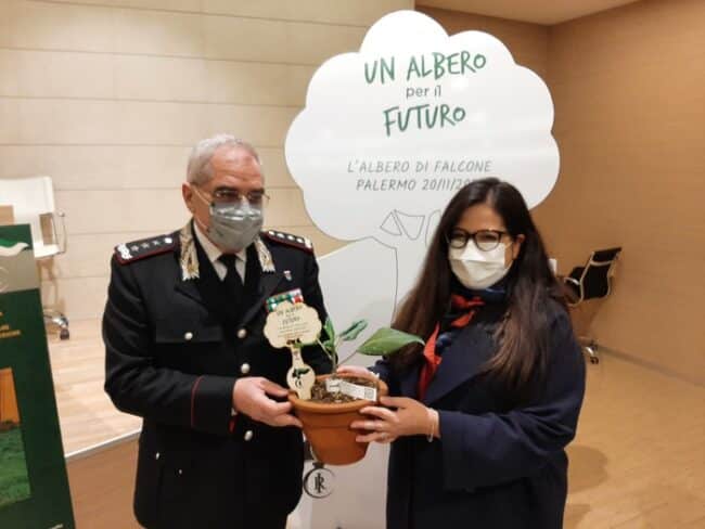 Una piantina in ricordo della giustizia: ecco le “piantine di Falcone”