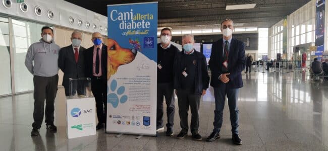 SAC al fianco dei Lions: lanciata raccolta fondi per addestrare cani che aiutino i diabetici