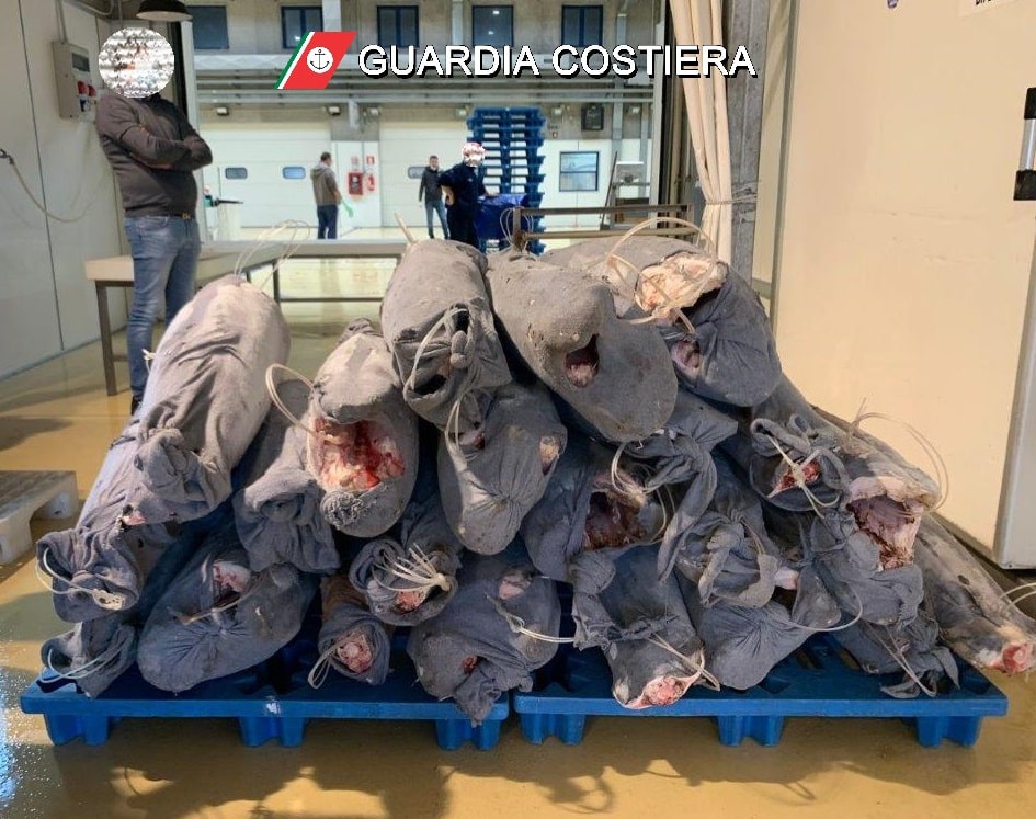 Catania, sequestrati 25 esemplari di pesce spada