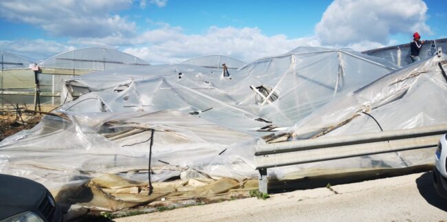 Tromba d’aria a Scoglitti, serre scoperchiate e danni a locali: l’appello del Sindaco Aiello