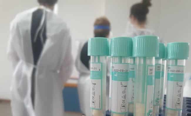Tamponi salivari, prosegue lo screening tra i banchi nelle scuole sentinella