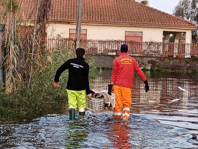 Villaggio azzurro allagato, famiglia intrappolata. Foto e Video